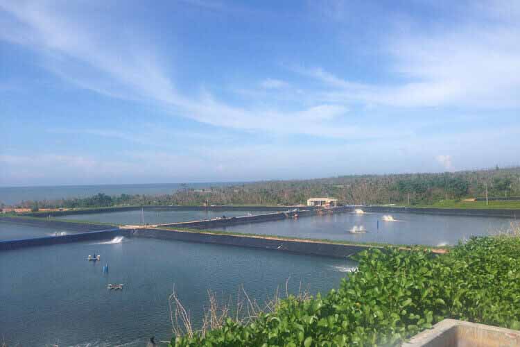 geomembrane-Aquaculture-projects.jpg