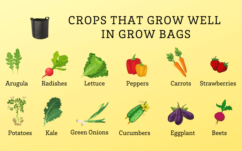 Crops grow bag.jpg