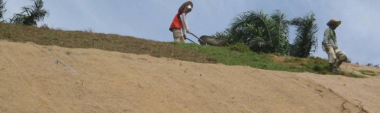 Coir blankets