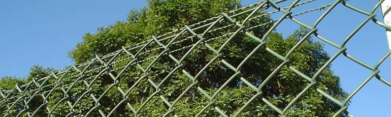 Fencing Wire