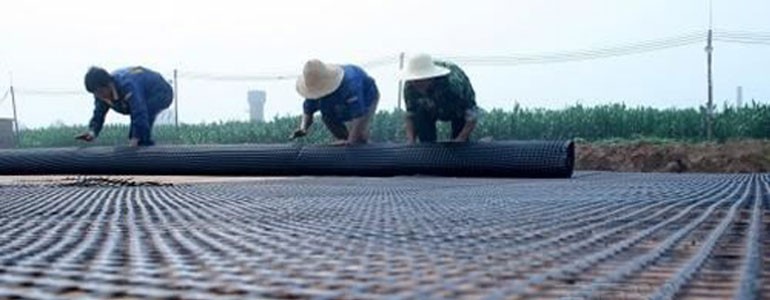 Steel plastic geogrid