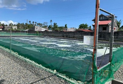 Fish Pond Liner