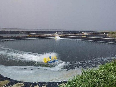 china HDPE Pond Liner manufacturers