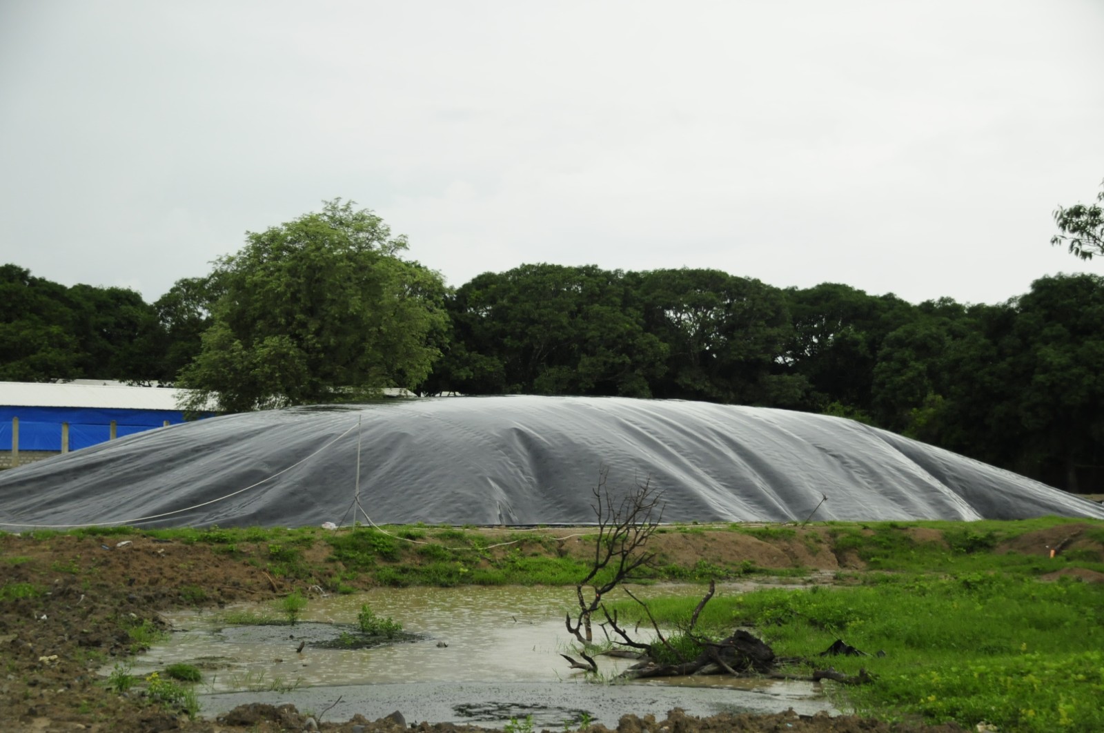 HDPE Impermeable Geomembrane for Biogas Pool Project in Thailand