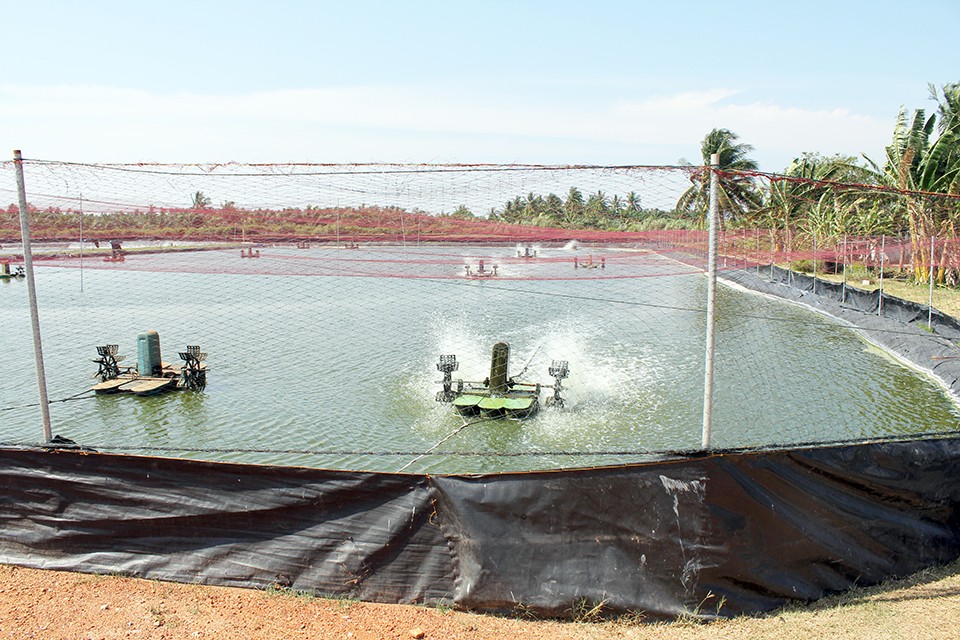 Fish pond anti-seepage membrane construction method